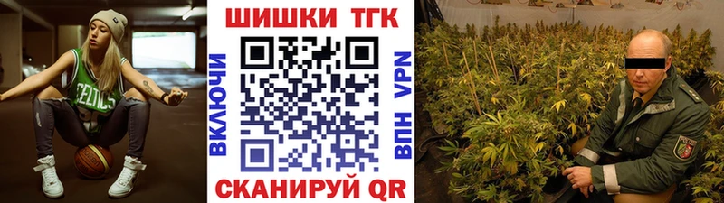 Шишки марихуана план  как найти наркотики  Нерехта 